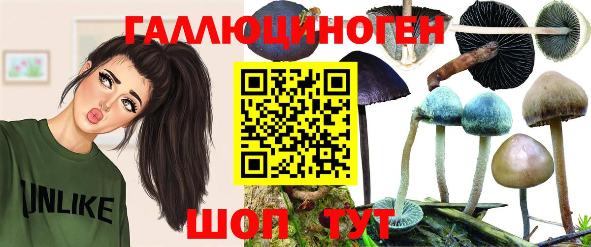 Архангельск  Галлюциногенные грибы прущие грибы  Вход с VPN  хочу   Псилоцибиновые грибы Psilocybine cubensis 